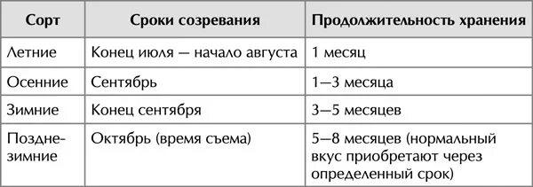 Сроки созревания яблони