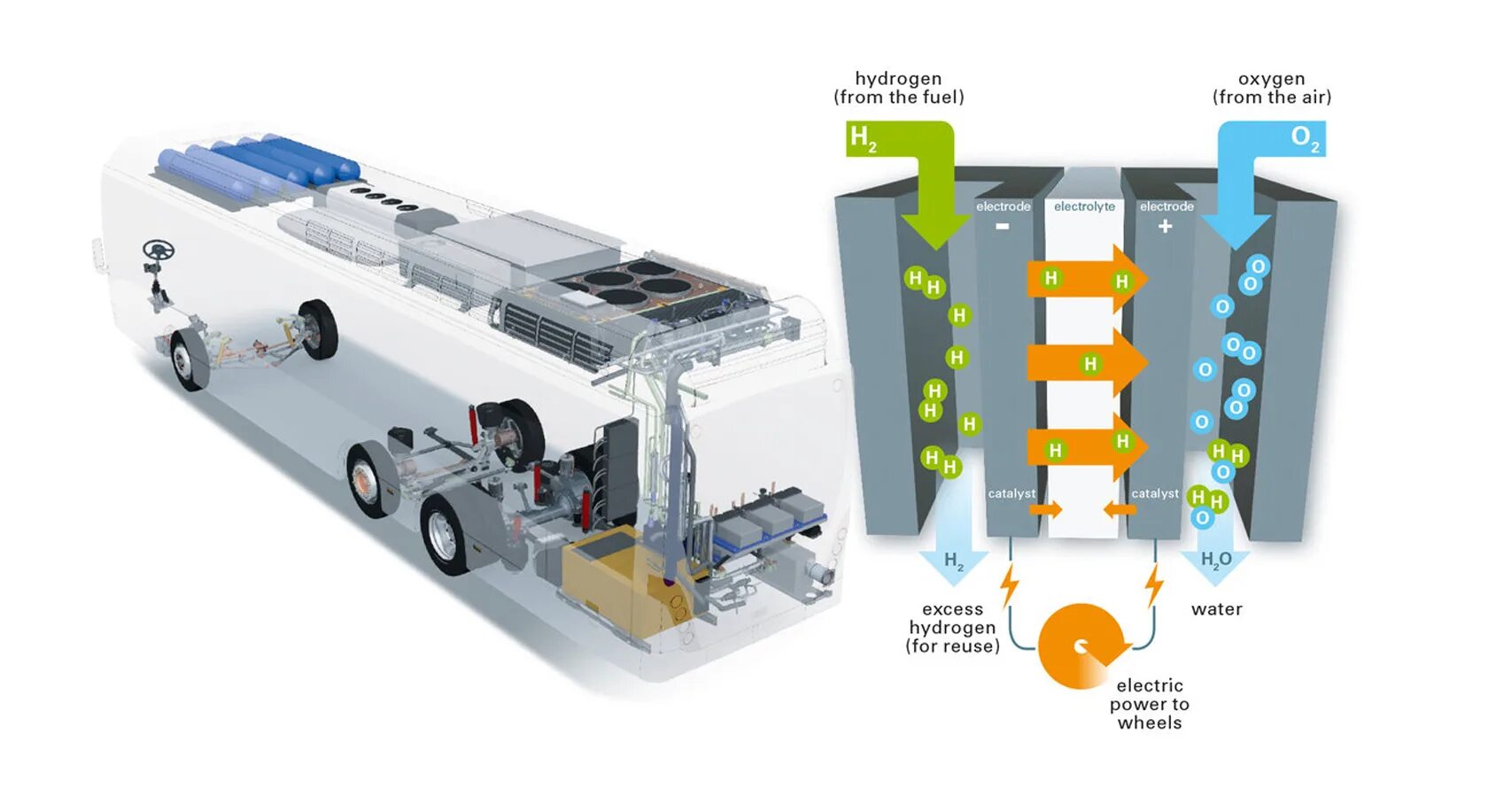 Водородный модуль. Топливные элементы - ячейка (fuel Cell). Fuel Cell топливный элемент. Топливная ячейка на водороде. Топливный элемент с протонообменной мембраной.