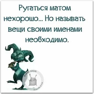 Смешные цитаты для 9 класса