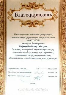 Благодарность спортсмену