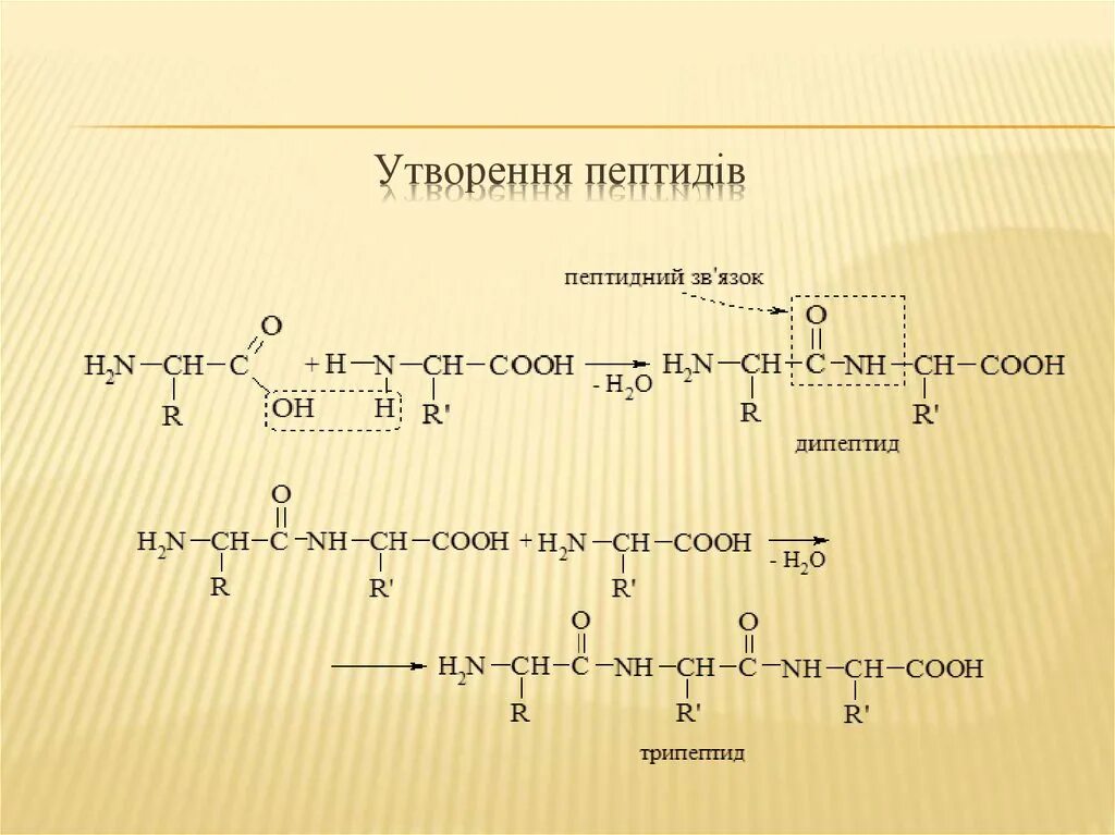 Образец дипептида природного происхождения