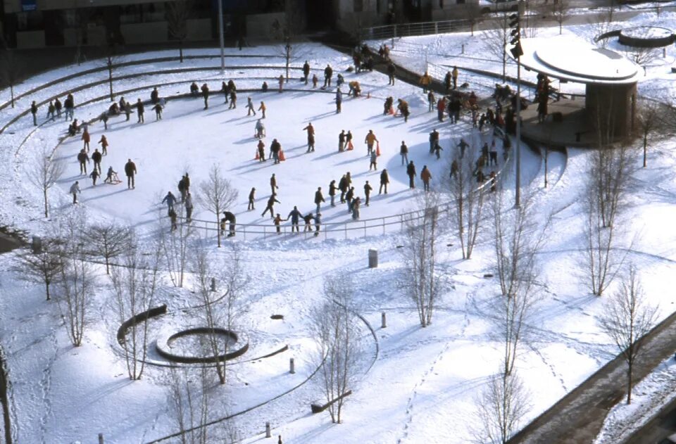 Каток дорожками. The Rink Сколково парк. Rosa Parks circle. Каток. Круглый каток.