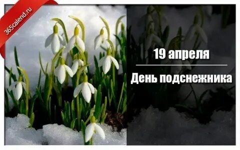 19 апреля короткий день