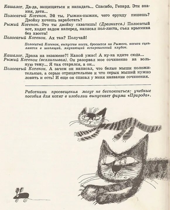 Составить текст на тему котик каток. Сочинение на тему котенок. Сочинение на тему кот. Сочинение мой котенок Барсик. Сочинение мой котенок.