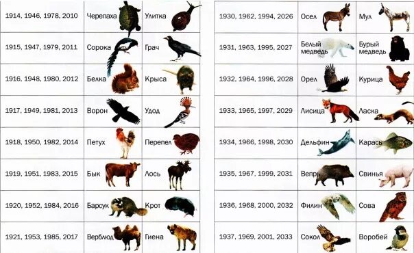 Animal data