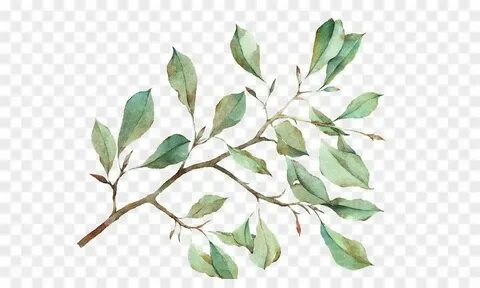 Branch plant