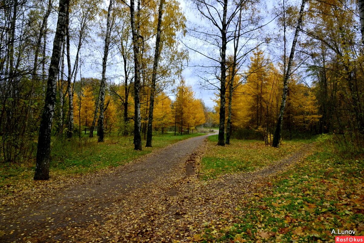 Иллюстрация к стихотворению уж небо осенью дышало. Осенний уж. Змеи и осень. 25 сентября – артамон (автоном), змеиный день. Уж осенью.