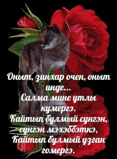 Гафу итегез. Гафу ит мине. гафу ит мине открытки. оныт. гафу итегез мине картинки.