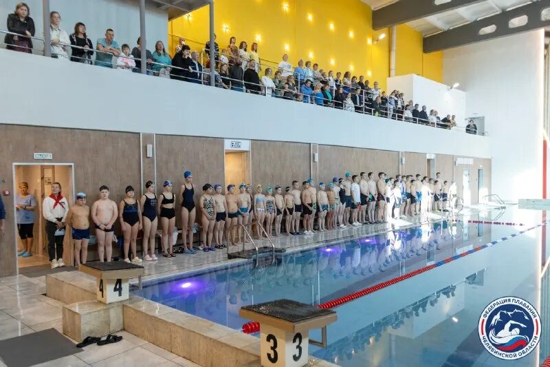 выставочный зал чебоксары амазония кафе. бассейн пионер кыштым. бассейн сфу вузовский 5а. бассейн садко барнаул. дети в бассейне.