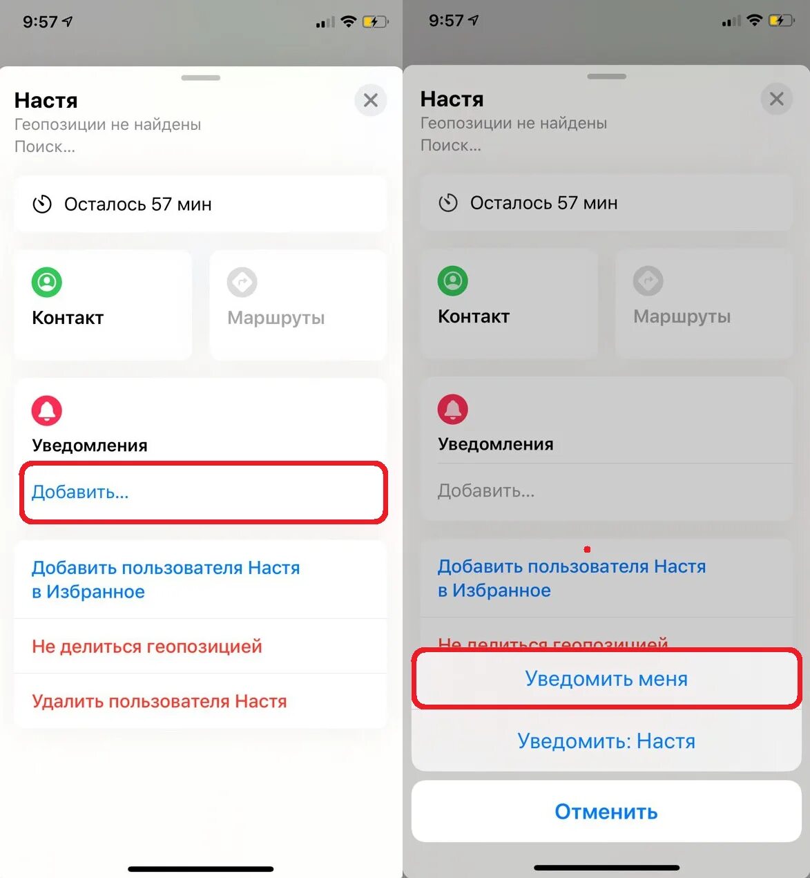 Делиться геопозицией iphone. Что значит динамическая геопозиция в локаторе. Уведомление локатор на айфоне что это. Приложение по отслеживанию геолокации на айфон. Программа локатор на айфон.