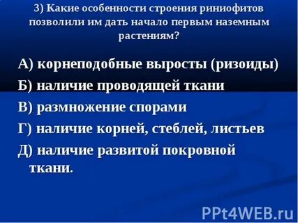 Признаки характерные для риниофитов