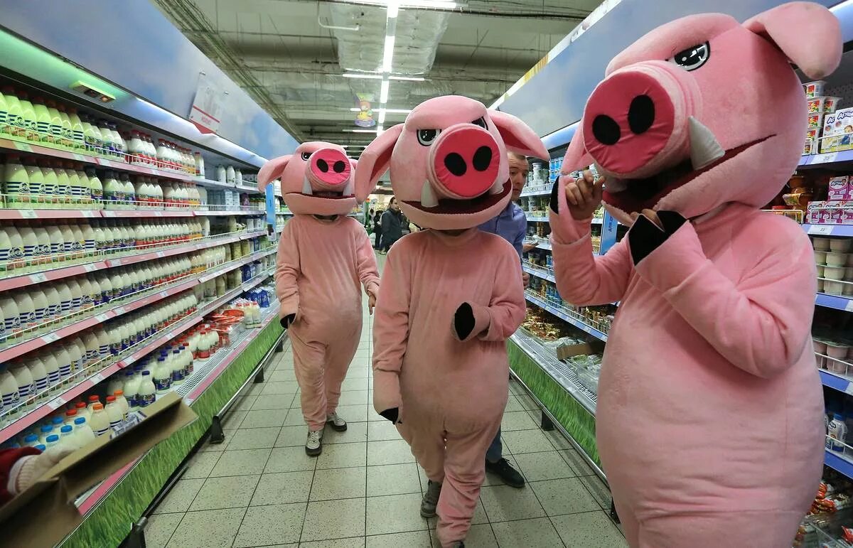 Сыграем в игру хрюша