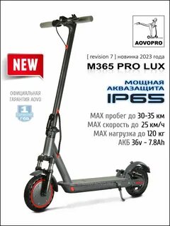 M365 pro lux