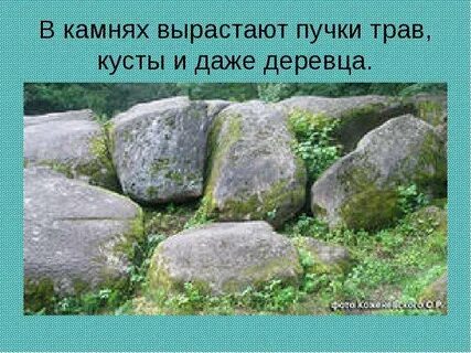 Зачем нужны камни