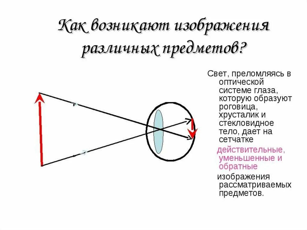 Ход лучей глаза человека. Как возникают изображения различных предметов. Перевернутое изображение на сетчатке. Глаз как оптическая система физика. Ход лучей в оптической системе глаза.