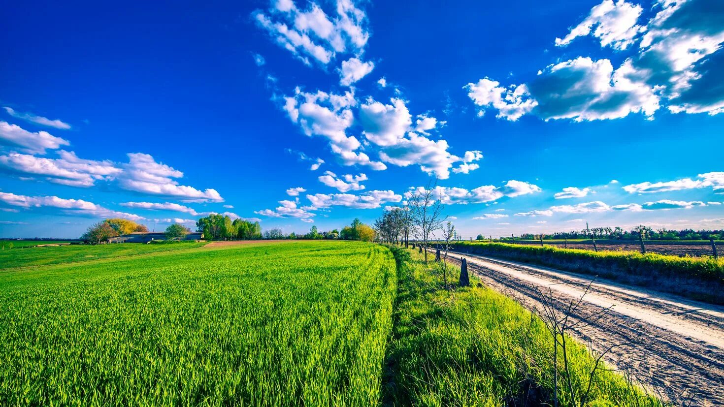 Clear field