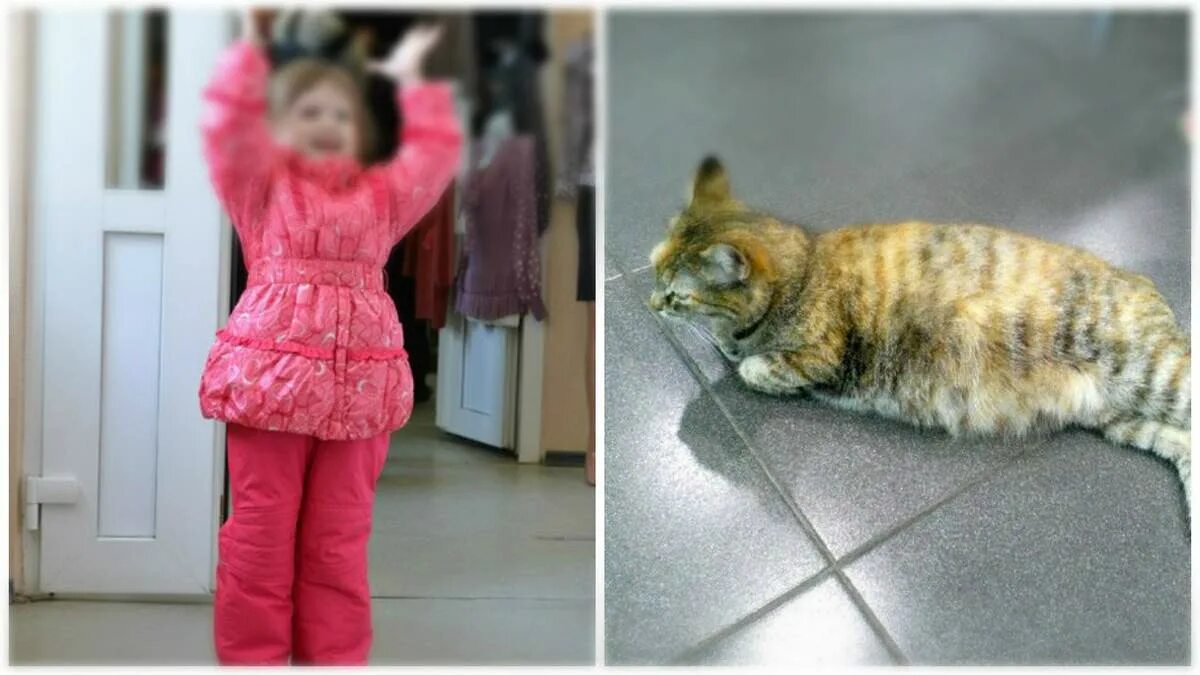 Дети живодеры. Пикет живодеры. Дети живодеры. Дети живодеры. Котята над которыми издевались.
