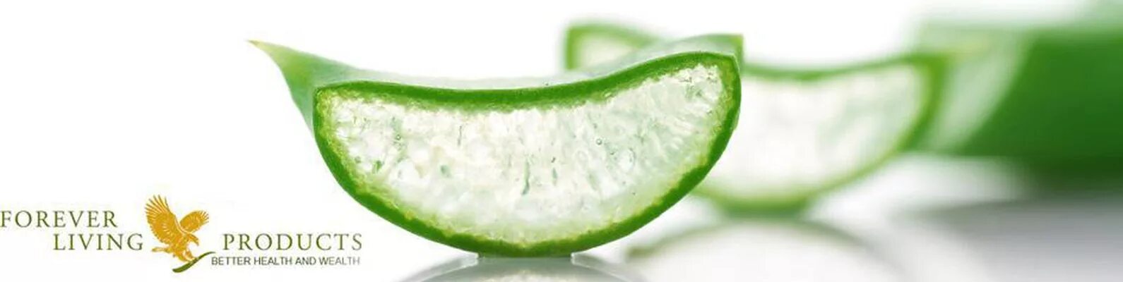 Aloe Vera. Forever Living products. Алоэ логотип. Forever Aloe Vera логотип.