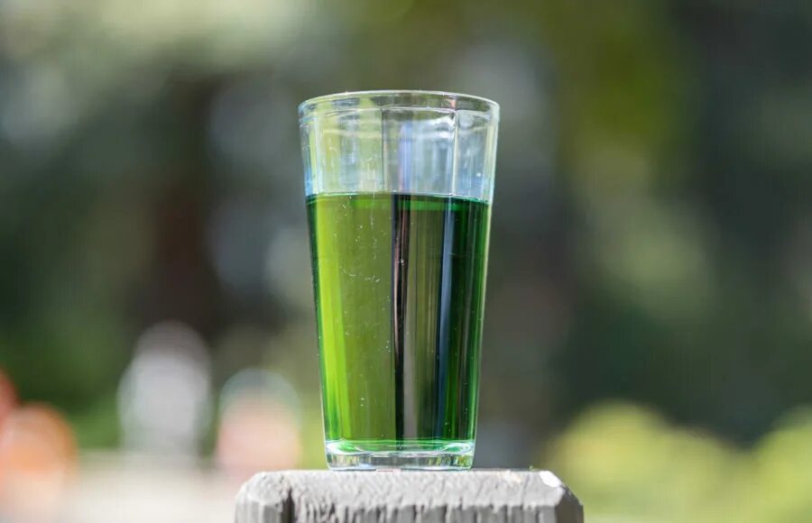 Chlorophyll Water. Хлорофилл в стакане. Хлорофилл жидкий в стакане. Бокал с хлорофиллом. Стакан с зеленой водой