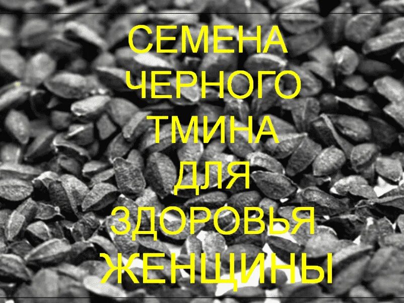 Семена тмина как пить. Семена черного тмина. Семена чёрного тмина польза. Семена тмина польза. Чёрный тмин лечебные.