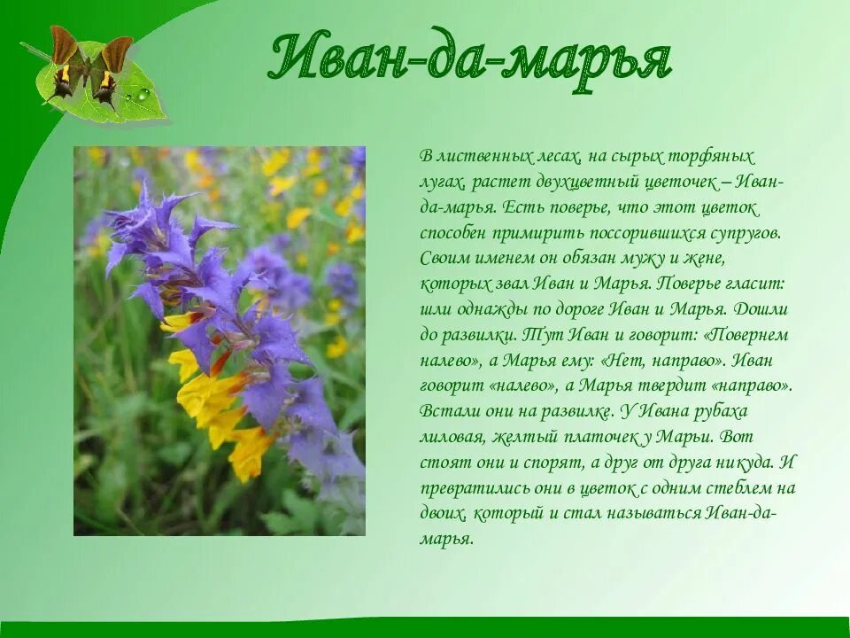 Легенды о растениях и животных
