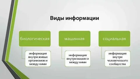Формы проявления информации
