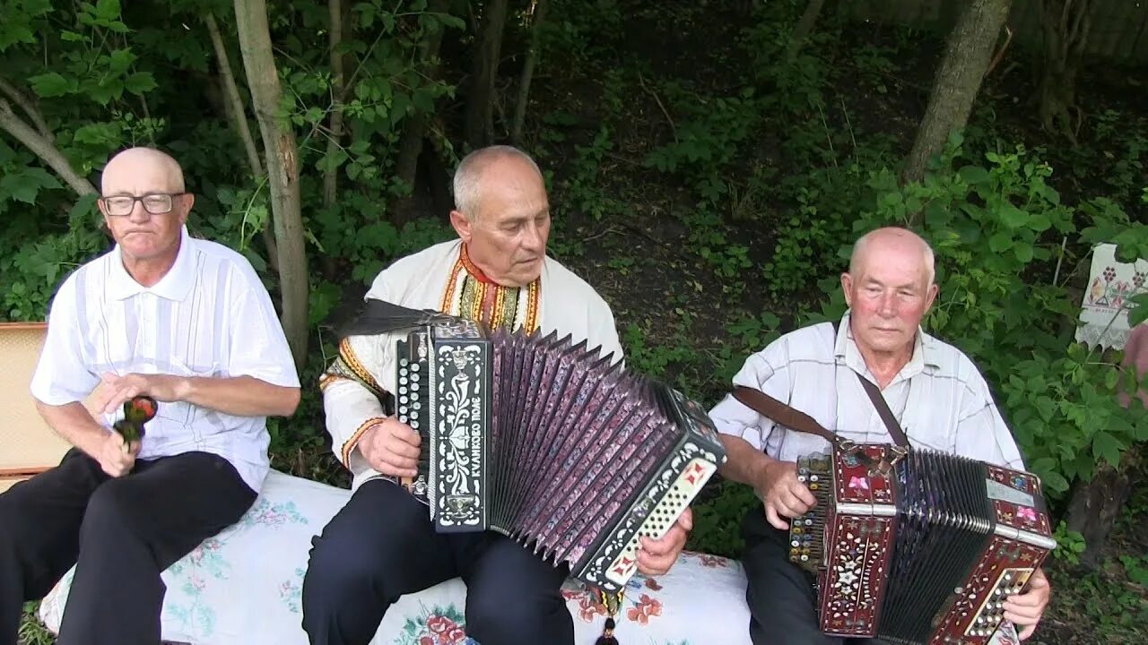 Народные частушки под гармошку слушать. Частушки на гармошке. Частушечники с гармошкой. Гармонист коллектив