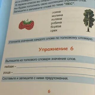 Выпишите из словаря значение слов