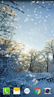 Snow live