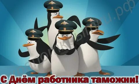 День таможенника смешные картинки