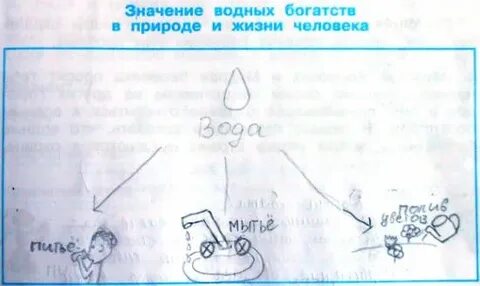 Значение водных богатств в жизни человека 4