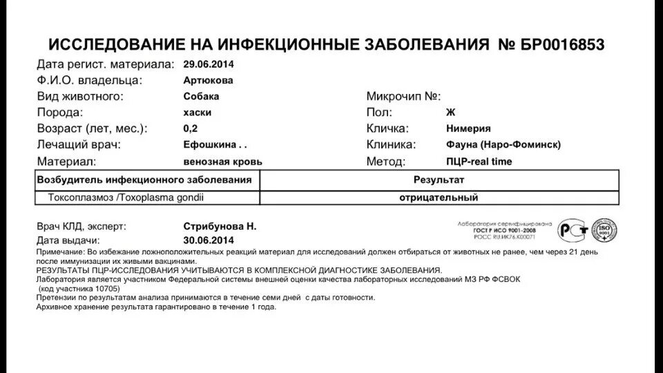 лямблии в кале норма. игх кала на лямблии спб. цистолямблии что это такое анализ. общеклиническое исследование кала. игх кала на лямблии спб.