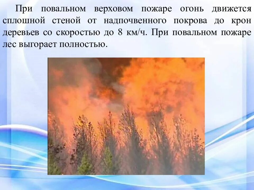 Верховой пожар наиболее опасен ответы. Верховой пожар. Верховой пожар скорость. Верховой пожар наиболее опасен. Лесные и степные пожары презентация.