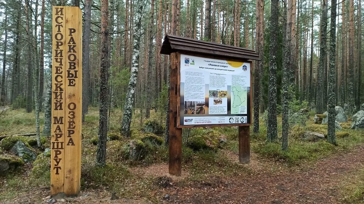 Государственный природный заказник раковые озера. Раковые озера экотропа. Раковые озера спб. Раковые озера экотропа. Раковые озера тропа.