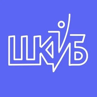 Шкиб школьное инициативное бюджетирование