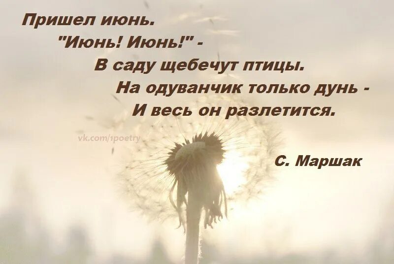 Прохладой дунуло