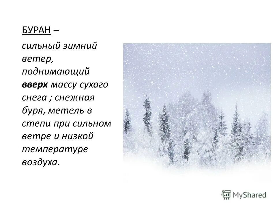 Описание метели. Метель предложение. Описание вьюги. Предложение со словом метель. Слово со значением сильная метель снежная буря