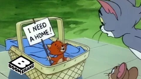 Jerry kitty