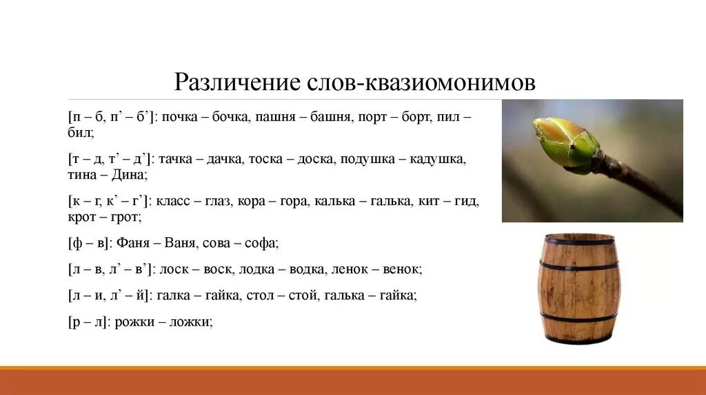 Жила п б. Квазиомонимы. Слова квазиомонимы. Слова бочка почка. Дифференциация слов-квазиомонимов.