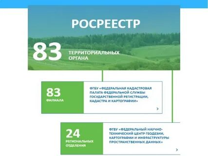 Кадастровый филиал