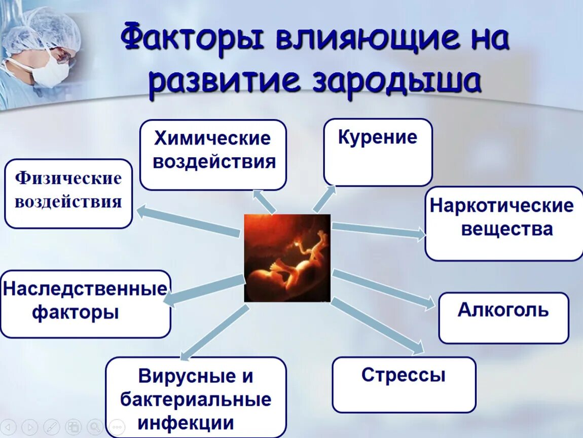 Влияние окружающей на развитие организмов. Факторы влияющие на развитие зародыша. Факторы влияющие на развитие зародыша человека. Какие факторы влияют на развитие зародыша человека.