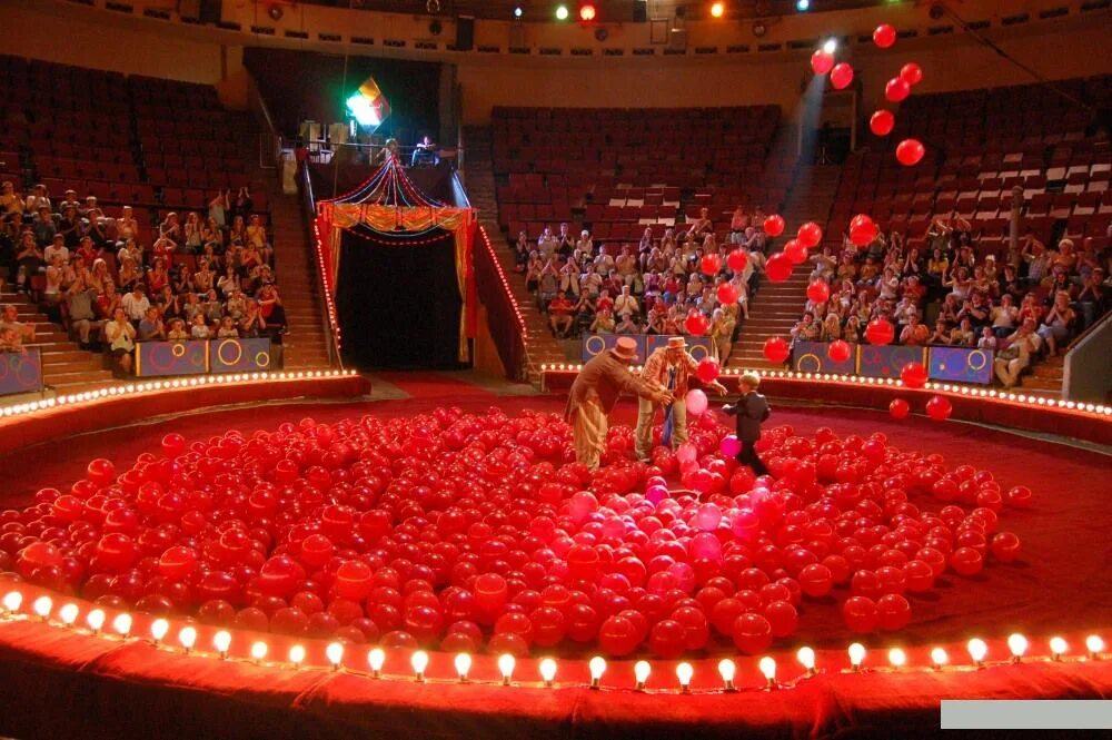 Идиотский клоун. Клоуны 2009. Клоуны на телевидении. Мэтт осборн рестлер. Клоун из цирка.