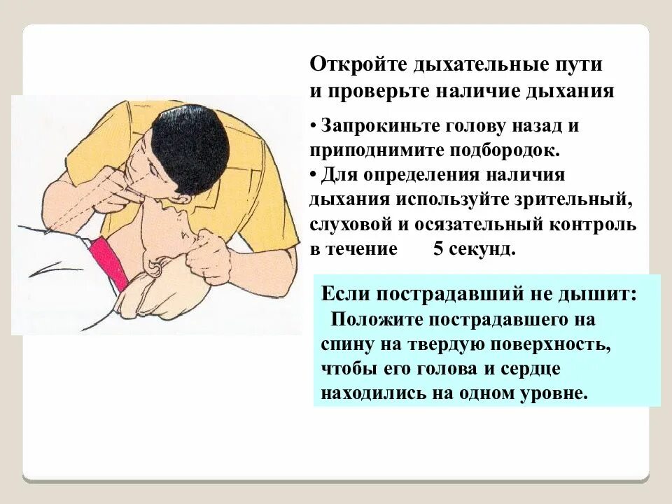 Как проверить наличие дыхания у ребенка. Расположение рук при проведении сердечно-легочной реанимации. положение рук при реанимации. положение рук при сердечно легочной реанимации. наличие дыхания у пострадавшего.