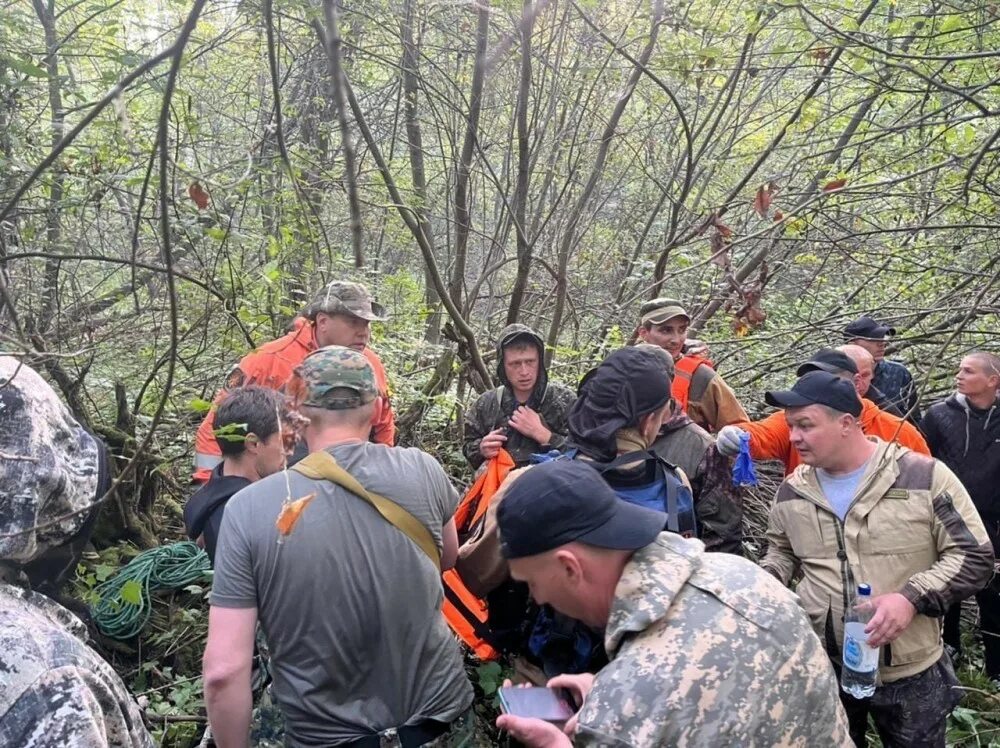 Лес днем. В архангельске бросили ребенка в лесу. Заблудился в лесу. Поиски мальчика в лесу. Много лесного подроста.