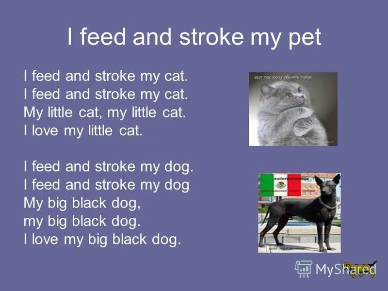 Me petting my cat before the nuclear blast. Фото девочка гладит кошку. Her pet is a cat. Котенка гладят. My pet по английскому.