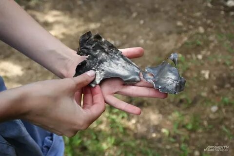 Орел сбитые беспилотники