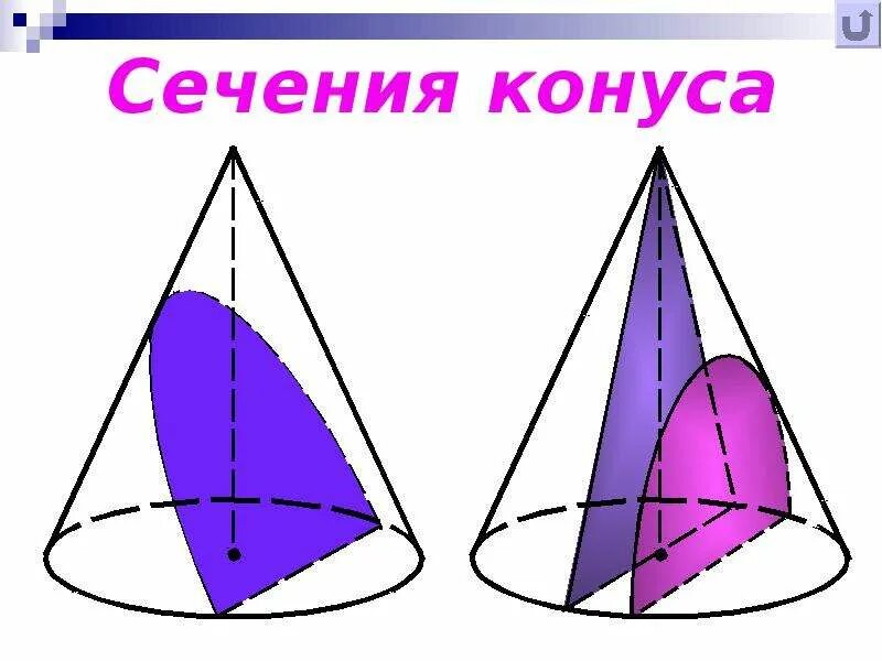 Сечение конуса вращения. Сечение конуса плоскостью. Кривые поверхности поверхности конуса. Сечение конуса начертательная геометрия. Сечение конуса вращения.