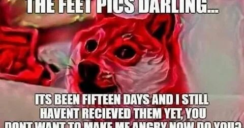 Feet meme