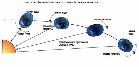 Приливы и отливы влияние луны