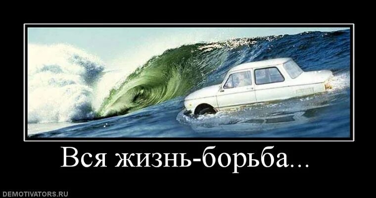 Вся жизнь борьба за счастье 172. Жизнь борьба. вся жизнь борьба. демотиваторы жизнь борьба. жизнь борьба прикол.